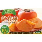 富有柿 訳あり 10kg