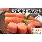 魚貝類 明太子 稲石 博多名物 山笠辛子明太子500g 250g×2個