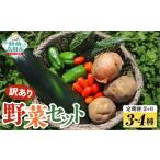 セット 詰合せ 定期便3ヶ月 農家のおすそわけ