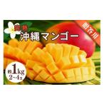 fu.... налог манго Okinawa префектура ... город Okinawa префектура производство .. для манго 1kg предшествующий предварительный заказ 2027 год отправка манго . толщина ..ju-si- Nankoku фрукты фрукты прямая поставка от производителя pre...