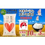 米 コシヒカリ 定期便 10kg