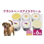 菓子 アイス プラントベースアイスクリームセット