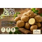 豊浦産 じゃがいも とうや 約5kg