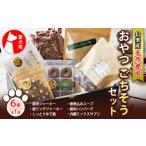 鹿肉 愛犬用 信楽産天然鹿肉 おやつごちそうセット
