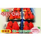 いちご やよいひめ 150gパック×4パック 計600g