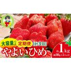 いちご やよいひめ 500g