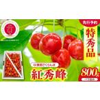 fu.... налог фрукты вид вишня Yamagata префектура восток корень город 2027 год производство GI восток корень вишня . превосходящий .800g роза ..L и больше Special превосходящий товар Yamagata префектура восток корень город tisko ферма предлагается hi089-...
