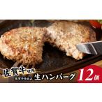 肉 ハンバーグ 佐賀牛仕込みハンバーグ 12個
