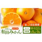 果物類 みかん 2026年 有田みかん 約 5kg