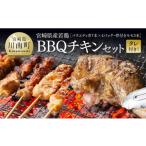 鶏肉 セット 令和8年 産若鶏 BBQチキンセット