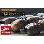 人参 大根 他根菜 年内発送 れんこん3kg