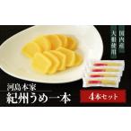 加工品等 漬物 国内産 大根使用 紀州うめ一本 4本