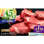 牛肉 ヒレ 南 6回定期便 シャトーブリアン