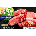 牛肉 ヒレ 南 6回定期便 シャトーブリアン
