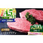 牛肉 ヒレ 南 12回定期便 シャトーブリアン
