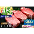 牛肉 ヒレ 南 12回定期便 シャトーブリアン