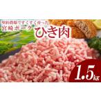 豚肉 ハンバーグ 個包装 契約農場ですくすく育った宮崎ポー…