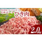 豚肉 ハンバーグ 個包装 契約農場ですくすく育った宮崎ポー…