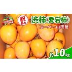 果物類 柿 訳あり 渋柿 愛宕柿 約 10kg