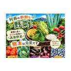 セット 詰合せ 阿蘇 郷乃舎 阿蘇高原 農家直送こだわり野菜