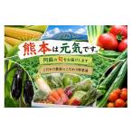 セット 詰合せ 阿蘇 郷乃舎 阿蘇高原 農家直送こだわり野菜…