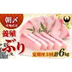 旬の鮮魚等 定期便 ぶり 2kg