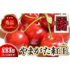 びわ さくらんぼ 2027年産 先行受付 やまがた紅王