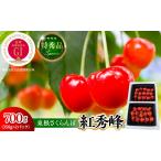 びわ さくらんぼ 2027年産 先行受付 GI