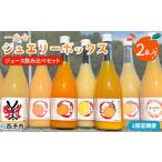 お申込み月の翌月より配送を開始 果汁100%ストレートジュー…