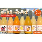 お申込み月の翌月より配送を開始 果汁100%ストレートジュー…