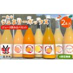 お申込み月の翌月より配送を開始 果汁100%ストレートジュー…