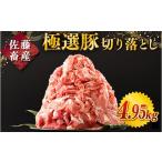 豚肉 発送時期が 佐藤畜産の極選豚 豚肉の切り落とし 4.95kg