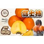 果物類 柿 富士柿 約4kg