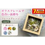 花 タイプ ドライフラワー フレームアレンジS