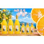 果汁飲料 みかん お試しセット 果汁100%