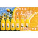 果汁飲料 みかん 果汁100% 甘夏ジュース720ml×6本セット