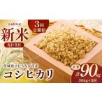 令和8年産 コシヒカリ 玄米30kg 定期便