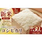 令和8年産 コシヒカリ 精米 10kg