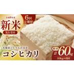 令和8年産 コシヒカリ 精米 10kg