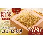 令和8年産 コシヒカリ 玄米30kg 定期便