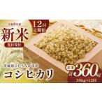 令和8年産 コシヒカリ 玄米30kg 定期便