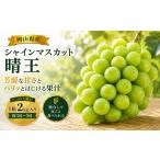 ぶどう マスカット シャインマスカット晴王 約2kg