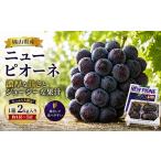 ぶどう マスカット ニューピオーネ 約2kg