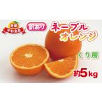 果物類 みかん 訳あり ネーブルオレンジ 約 5kg