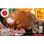 肉 ハンバーグ 令和8年熊本地震復興支援