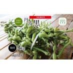 豆類 大豆 丹波黒枝豆 枝付き 2kg