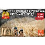 令和8年産 梅花藻が群生する清流で育てたコシヒカリ