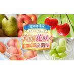 果物類 さくらんぼ 定期便4回 ノノハナフルーツ