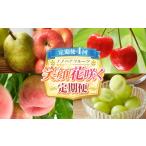 もも 定期便4回 ノノハナフルーツ 笑顔花咲く定期便