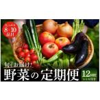 セット 詰合せ 季節の野菜定期便 野菜 12回便